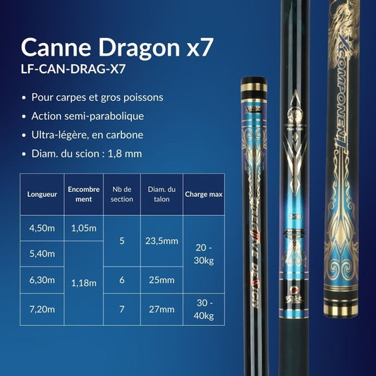 Canne à pêche chinoise Dragon x7 en carbone