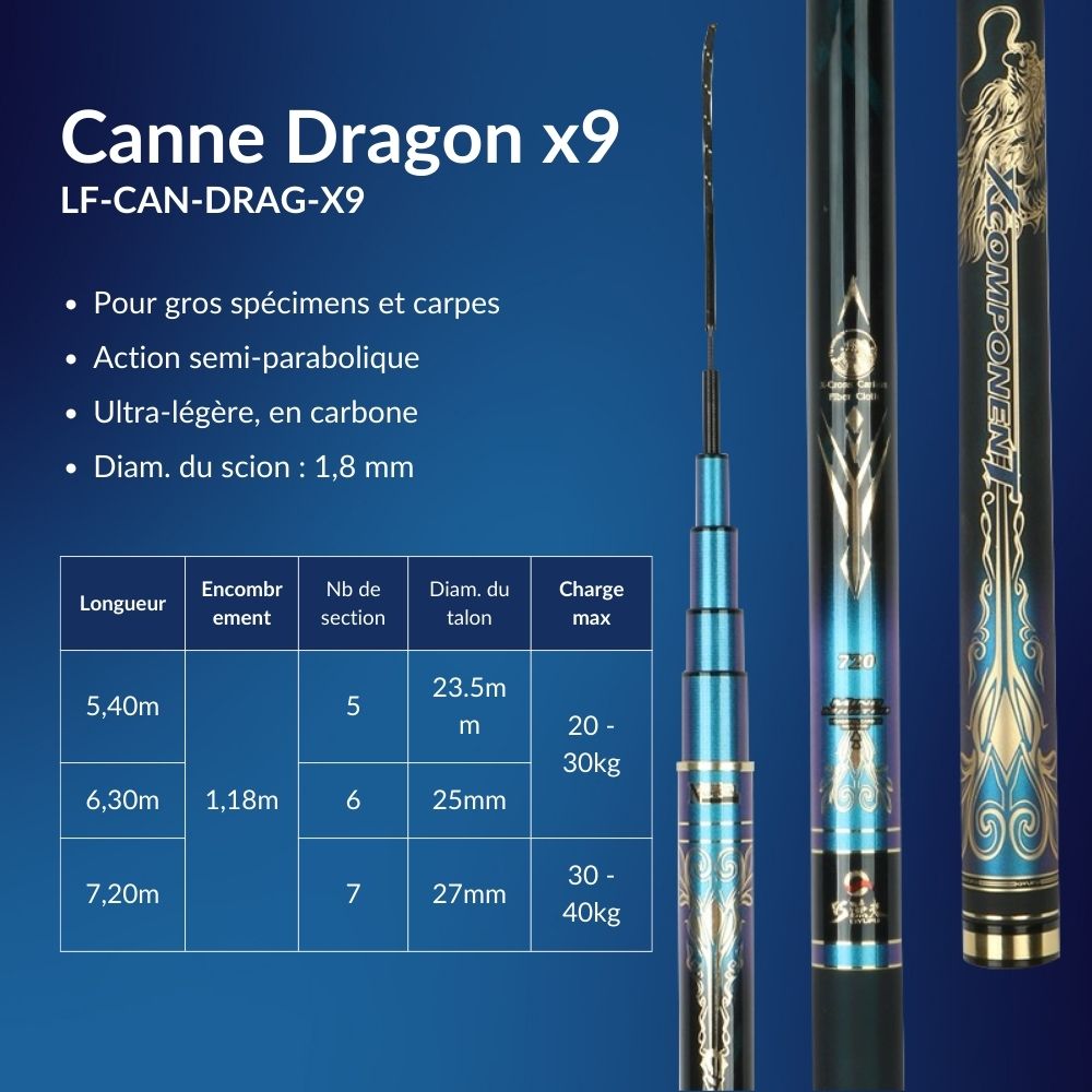 Canne à pêche chinoise Dragon x9 - Série Bleu Noir